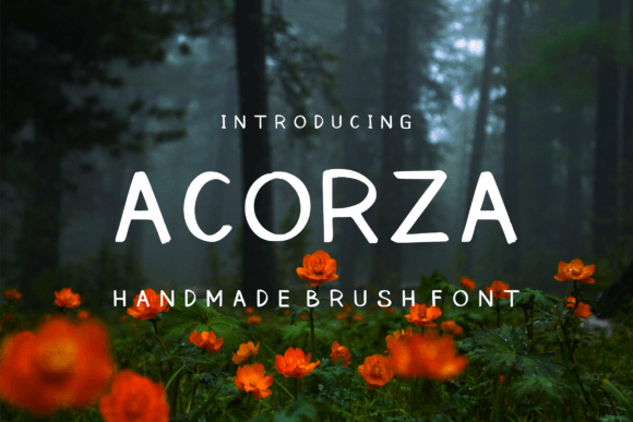 Acorza: The Casual Handwritten Font for Captivating Digital Campaigns
