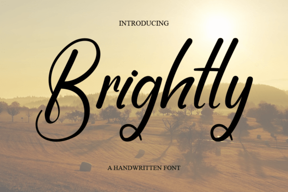 Brightly: A Spark of Personality for Projects That Need It