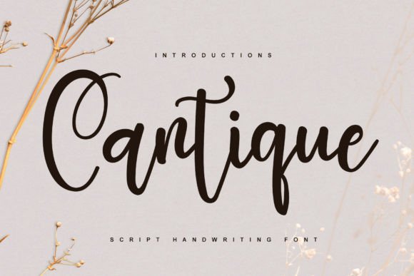 Cantique: A Font That Works When Campaigns Need Beauty and Balance
