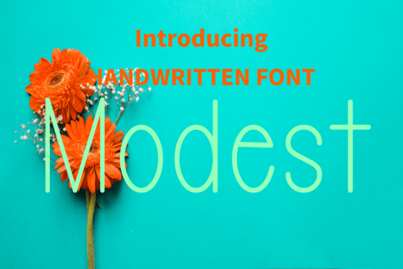 Finding Editorial Calm with the Modest Font