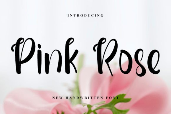 How Pink Rose Typed My Branding Project
