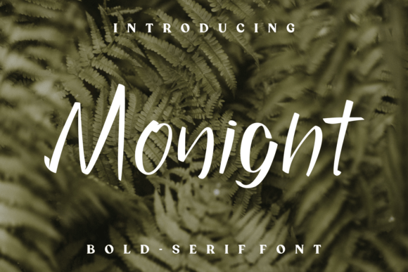 Monight: A Strategic Script Font for Modern Marketing