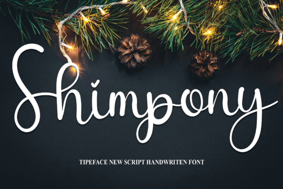 Shimpony: Why This Friendly Font Wins Brand Hearts