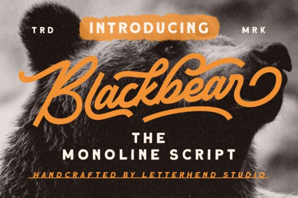 Working with Blackbear: A Designer's Honest Font Review